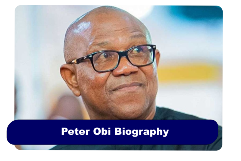 Peter Obi Biography: Age, Net Worth & Political Career